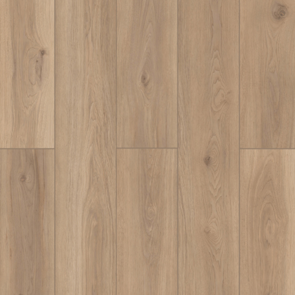 Bloomington - Image 3